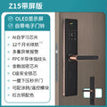 Z15 display version (optional module)