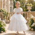 New  girls' formal dresses: high-end hostess outfits, performance dresses, wedding flower girl dresses, princess dresses for little girls