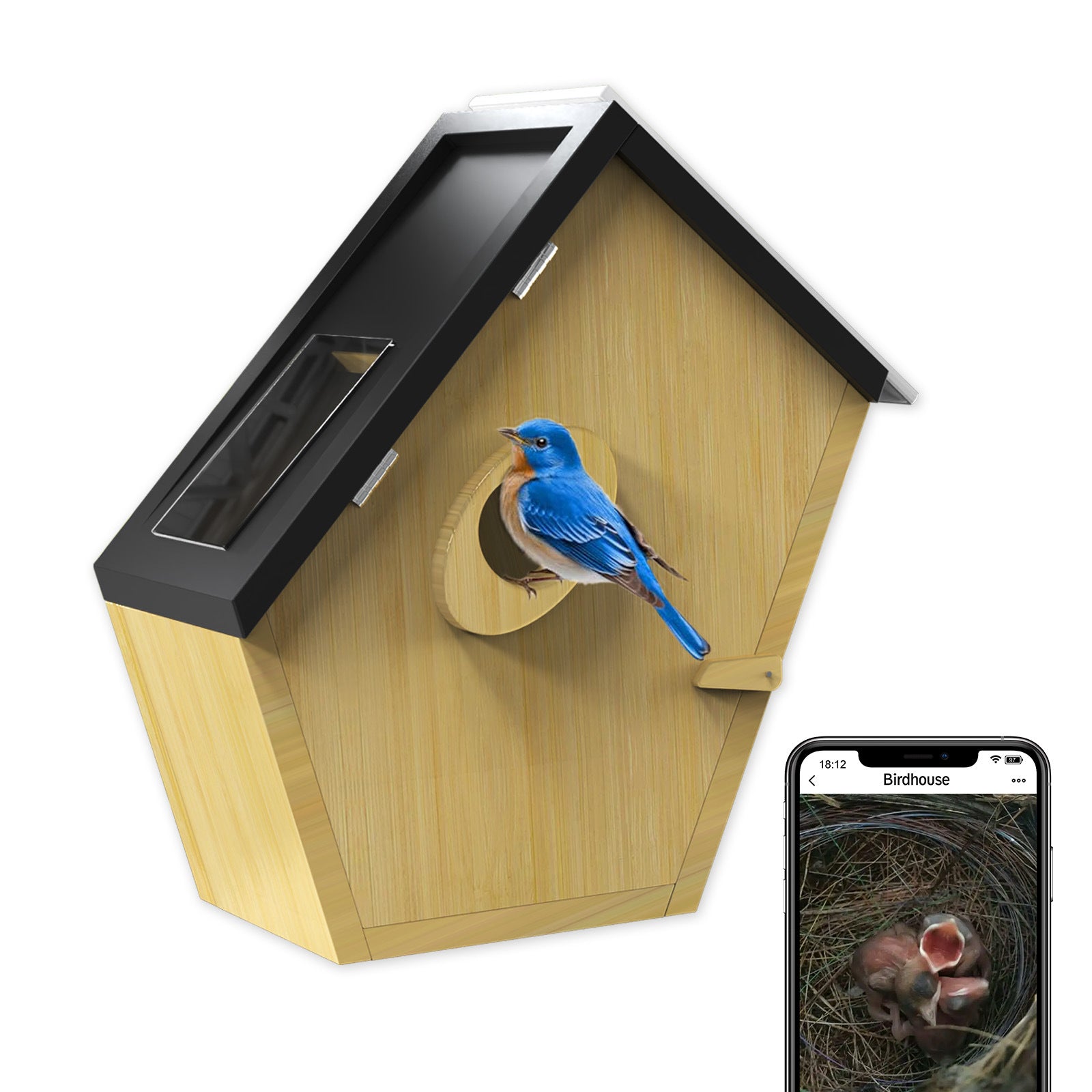Factory direct sales visual bird hatchery 5MP high definition solar camera bamboo and wood bird nest,   explosion