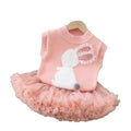 autumnew arrival cartoon baby girl suit skirt princess tutu skirt girlsweatervestsuit