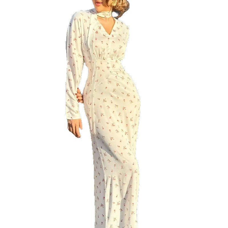 summer new women's clothing: cross-border export fashionable european and american style dress - elegant v-neck printed maxi dress