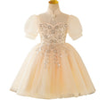 spot hot-selling girl's dress, piano performance, catwalk, children's flower girl princess dress, short style, wholesale