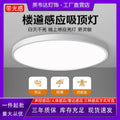 Led ceiling light - motion sensor radar light for stairwells, hallways, entryways, and balconies