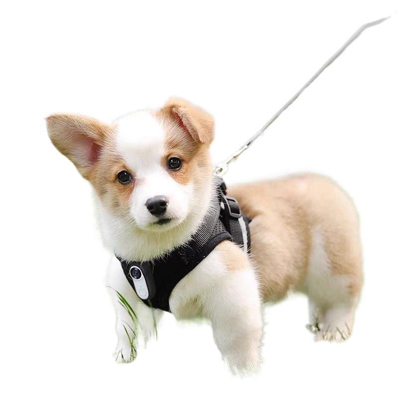 Wi-fi pet collar camera, thumb camera, hd cycling action camera, pet recorder