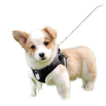 Wi-fi pet collar camera, thumb camera, hd cycling action camera, pet recorder