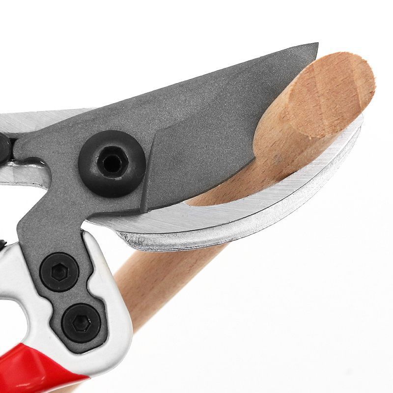 Disheng 2069 Taiwan, China Garden Shearing Branch Scissors Labor-saving Fruit Tree Pruning Shearing Horticulture Bonsai, Rixin Railway S