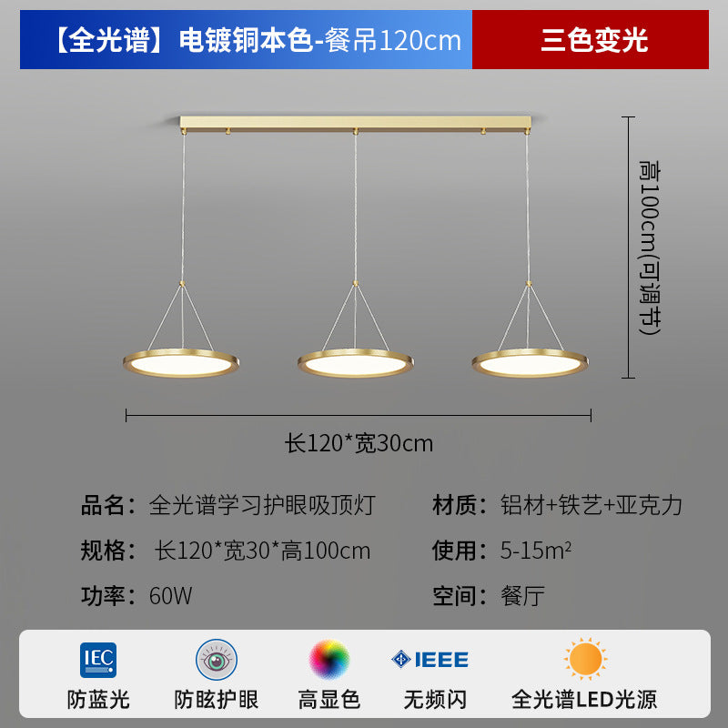 Zhongshan Modern Simple Living Room Light Ceiling Light 2025 New Puri Full Spectrum Eye Protection Bedroom Room Lighting