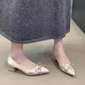 Bowknot single shoes for women, new autumn/winter 2025 collection, satin chunky heel, slip-on low heel pointed toe pumps