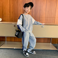 Boys' spring outfit set - two-piece,  new spring/autumn collection, stylish kids' hoodie and tracksuit, trendy spring/autumn apparel