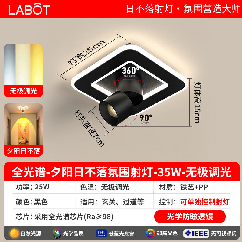 Aisle lights, corridor lights, surface-mounted projection, never-sunset atmosphere lights, entrance hall, high-end balcony led ceiling lights