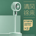 Air circulation fan summer electric fan air fan for home small electric fan floor fan table dual-purpose fan shaking left and right