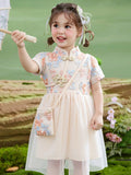 cross-border exclusive: girls' summer dress - chinese style embroidered mesh princess dress + bag two-piece set