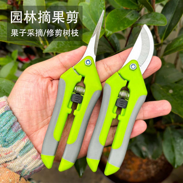 Gardening scissors, pruning scissors, fruit and vegetable scissors, tree branches, fruit trees, grape scissors, fruit scissors, garden tools, fruit picking spot