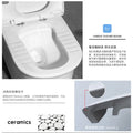 Squatting and sitting dual-purpose toilet siphon can squat or sit, large diameter, large impact, deodorizing filter, anti-clogging, dual-purpose toilet ceramic