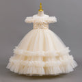 New wholesale girl's dress, fluffy wedding dress, princess dress, flower girl dress, piano recital dress, kids dress