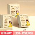 Warm baby warm patch for girls, aunt plant extract mugwort motherwort cold palace warm body heating heattech patch