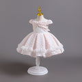 European and american new style airplane sleeve children's formal dress lace princess dress baby girl first birthday dress flower girl