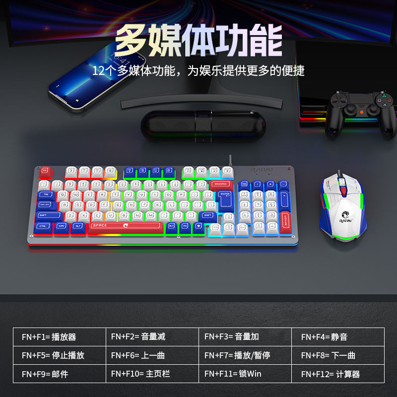 Raiku k98pro color matching wired rgb customized gasket e-sports game 98-key wired suit