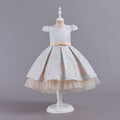 Export hot kids dress embroidered shiny princess dress female flower girl model catwalk dress girl dress