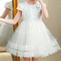 Girls' export-grade tutu princess dress - unique, light luxury style for birthday parties and performances (ages 3-12)