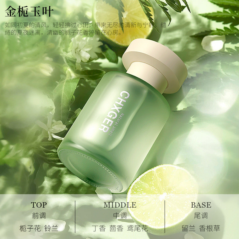 Car aromatherapy: premium car perfume, glass decorative ornament, long-lasting freshness, odor elimination, interior accessories, fragrance