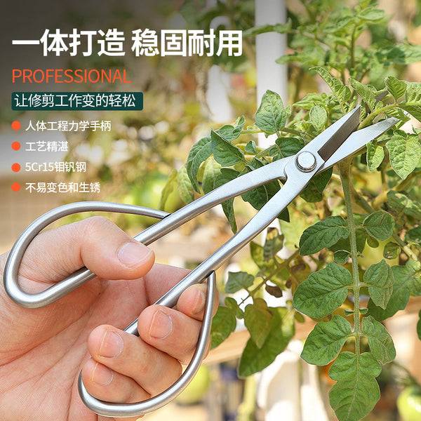Young leaves, leaf shearing, bud shearing, flower scissors, all-steel integrated pruning, flower shearing, bonsai gardening, scissors, tools wholesale