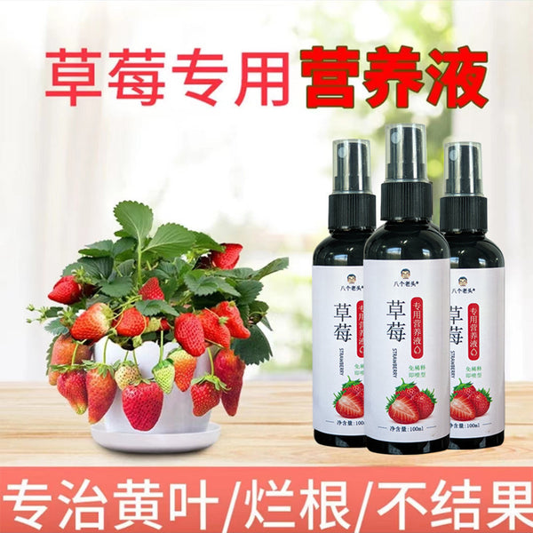 Special nutrient solution for strawberries, special fertilizer for water nourishment, non-dilution household potted organic liquid bottle