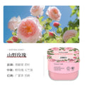For homearomatherapy indoor continuous fragrance bathroom purifying fragrance bedroom living room fresh air perfume ornaments