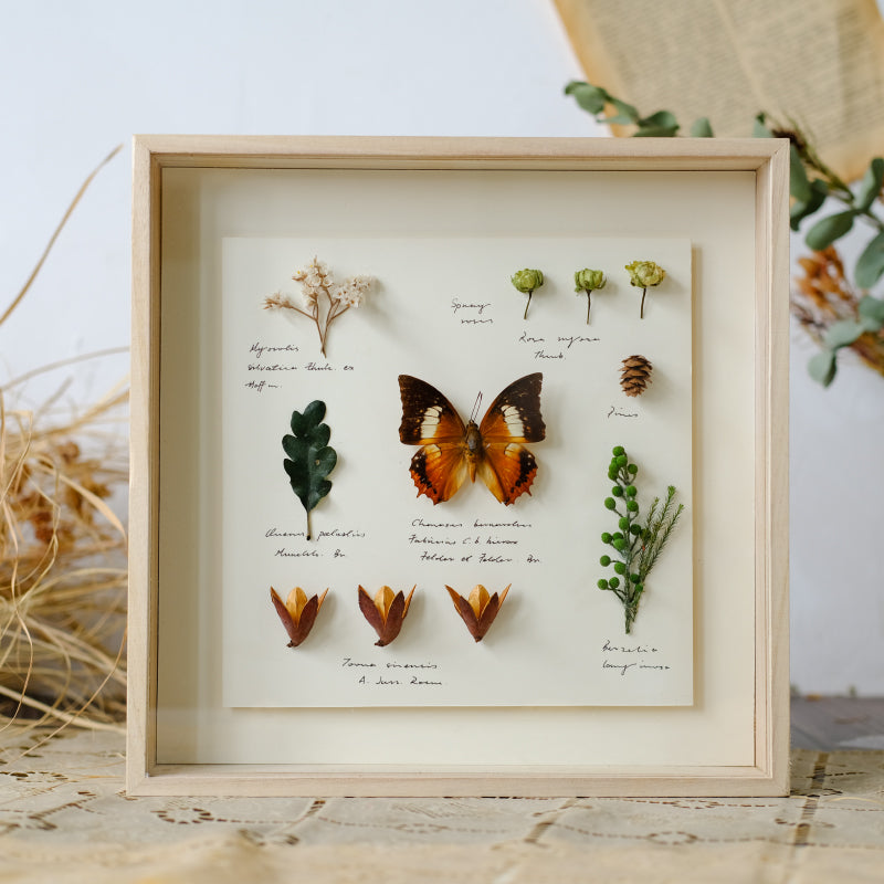 Dried Flowers Eternal Flowers Photo Frame Gifts Plant Specimens Insects Butterflies Animals Decorative Hanging Ornaments Glass Box Ideas