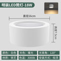White shell - 5inch -18w-warm light 3000k