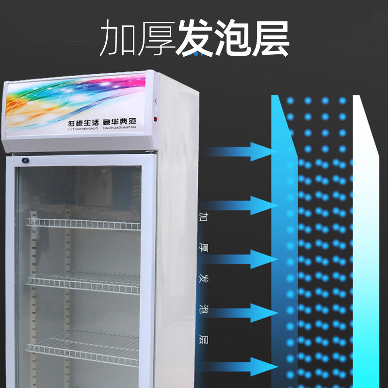 Beer cabinet refrigerator supermarket vertical freezer double door copper tube beverage cabinet air-cooled frost-free beverage display cabinet