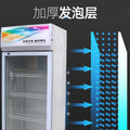 Beer cabinet refrigerator supermarket vertical freezer double door copper tube beverage cabinet air-cooled frost-free beverage display cabinet