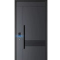 Class a anti-theft door for home security smart lock entrance door house door project double door heightened single door
