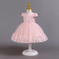 Exportin stockchildren's dresslace tutu princess dress one year old evening dress female baby dress