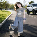 Girls' printed short-sleeve t-shirt set - new summer  collection: kids' summer outfit for girls, featuring a lace-trimmed plaid skirt two-piece set