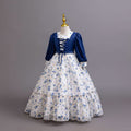 Ready-to-ship new chiffon dress long sleeve floral print princess dress girls' piano performance dress flower girl dress