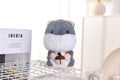 2025 cross-border hot-selling singing, dancing, talking, electric magic voice plush cute pet kids' light-up toy