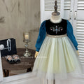 Customizable girls' dresses: new stylish baby girl birthday dresses, frozen queen anna princess dress