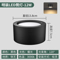 Ceiling model-black shell- 4inch -12w-warm light 3000k