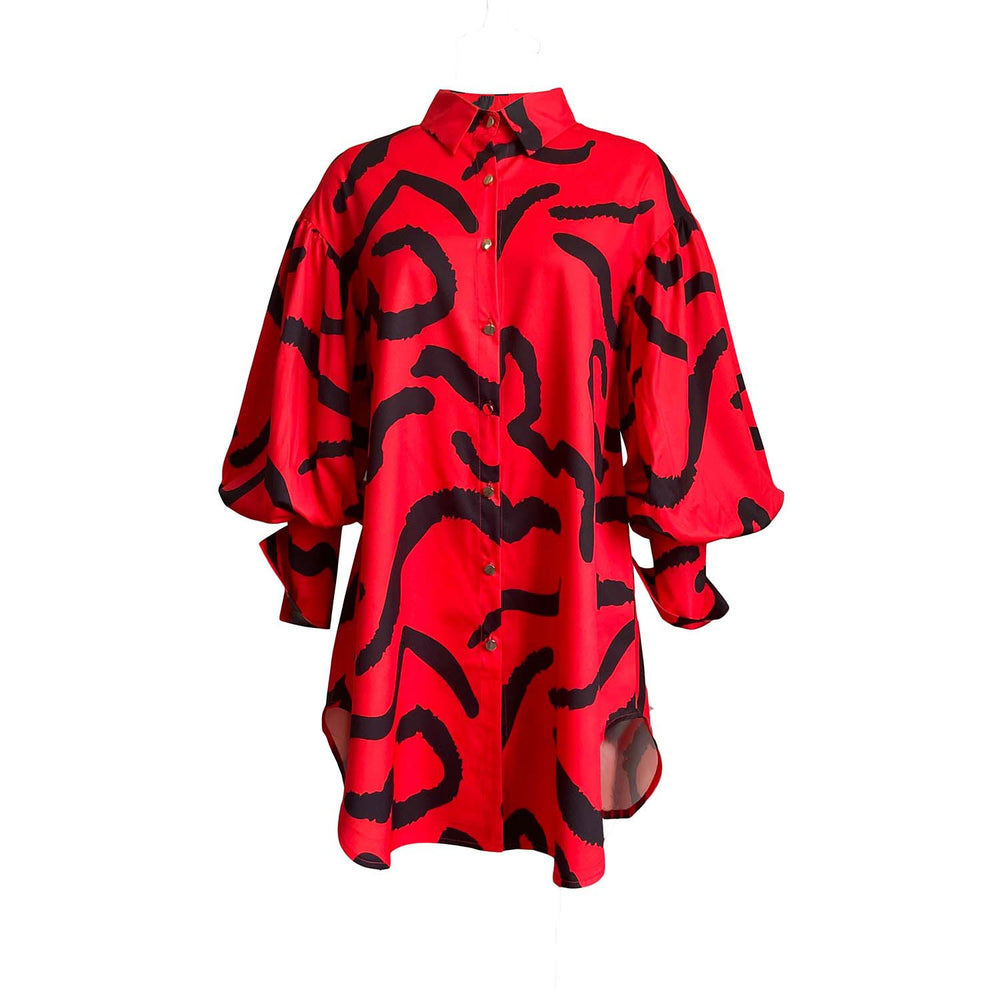 D191 independent station  new long-sleeved printed puff sleeve loose large size shirt skirt cross-border fashion dress