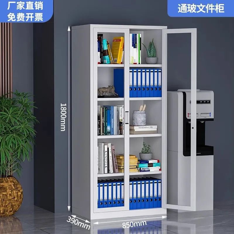 Office metal file cabinet - accounting & finance storage cabinet - voucher cabinet - storage cabinet - document & record cabinet - lockable cabinet