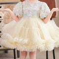exclusive children's clothing for baby girls, first birthday, flower girl dress, girl's piano tutu skirt, infant and children's princess dress
