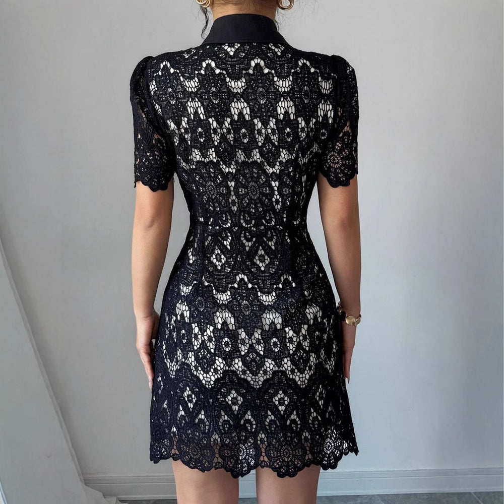 fashion for europe and america:  summer new arrival - color block turn-down collar, water-soluble embroidery, elegant waist-defining short-sleeve dress
