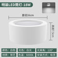 Ceiling model-white shell- 5inch -18w-white light 6000k
