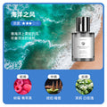 Wholesale car air fresheners - natural plant essential oils, long-lasting fragrance, car interior decorations - customization available