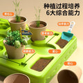Diy sunroom planting kit for kids: science experiment set for elementary school students - educational toy for boys and girls