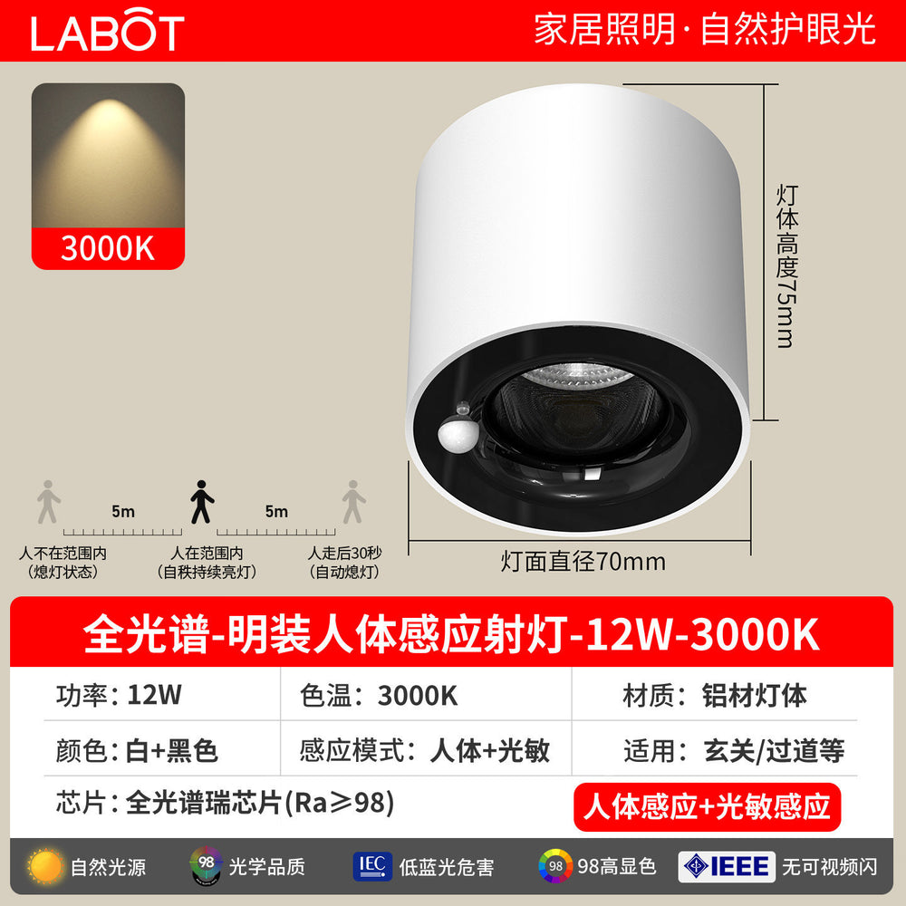 Surface-mounted human body sensor light for home corridor aisle light entrance entrance light corridor downlight infrared ceiling spotlight
