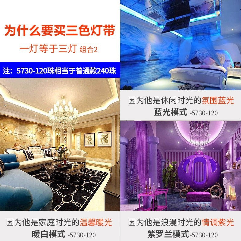 Led strip lights, tri-color dimmable, home use, color changing, living room ceiling, 220v outdoor waterproof rgb flexible strip lights