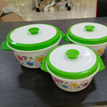 2533 printed plastic shell, inner container, and handle three-piece set insulated lunch box/insulated food container - export quality