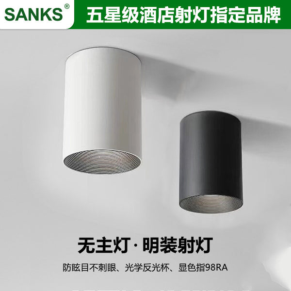 Three pine surface mounted downlights anti-glare 24 ° free opening hotel living room aisle corridor led ceiling spotlights